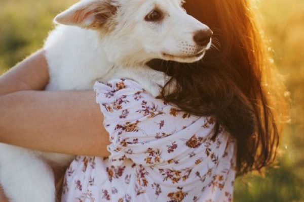 stylish-woman-hugging-cute-scared-white-puppy-in-w-2025-03-14-12-52-42-utc_11zon